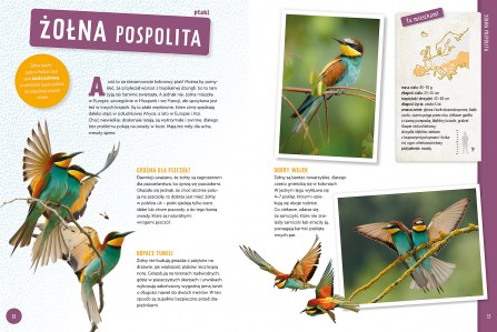 Poznaj z nami zwierzęta Europy elibri 2